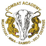 Combat Academy Logo