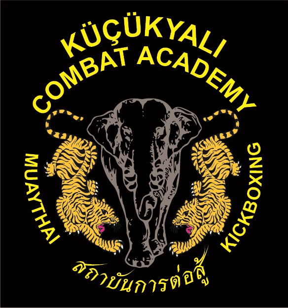 Küçükyalı Combat Academy