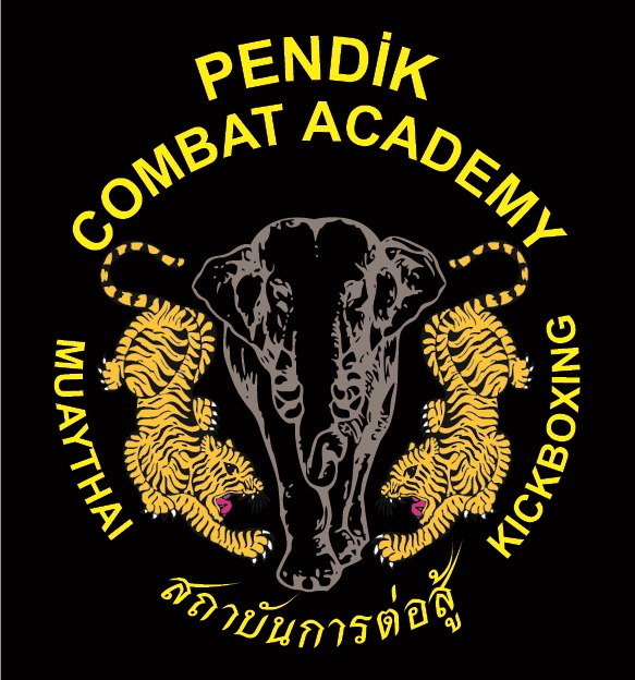 Pendik Combat Academy